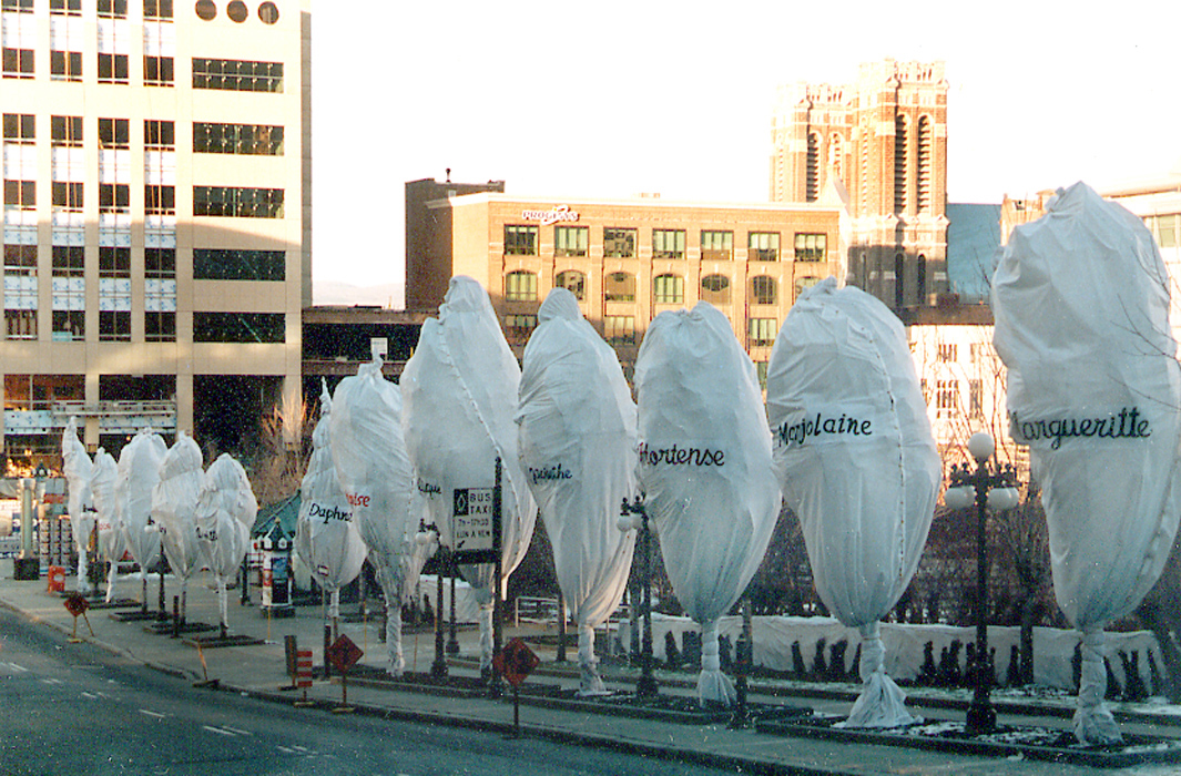Nom Des Arbres Avec Photos Pdf